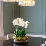 Maison Albar - Amoure - The Leading Of The World Braga
